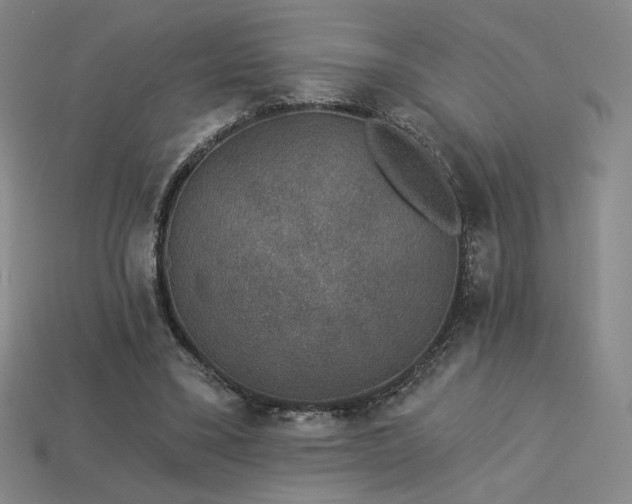 X0000113940395200909251245