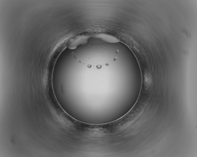 X0000113940396200909251245