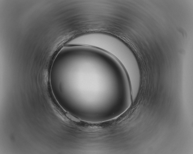 X0000113940397200909251245