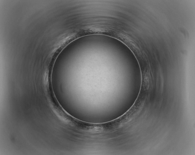 X0000113940398200909251245