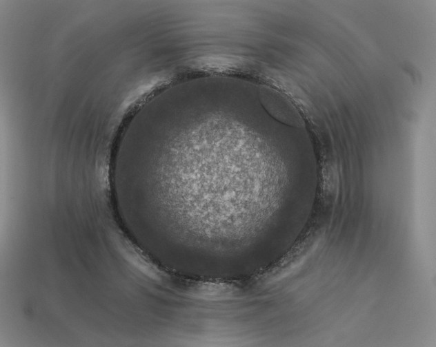 X0000113940399200909251245