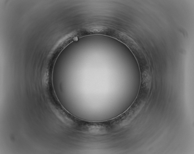 X0000113940400200909251245