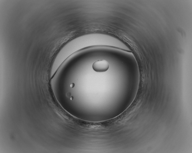 X0000113940401200909251245