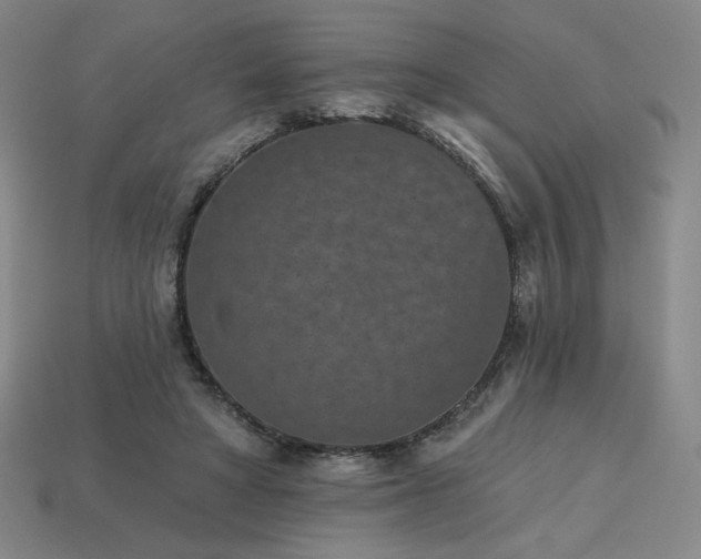 X0000113940402200909251245