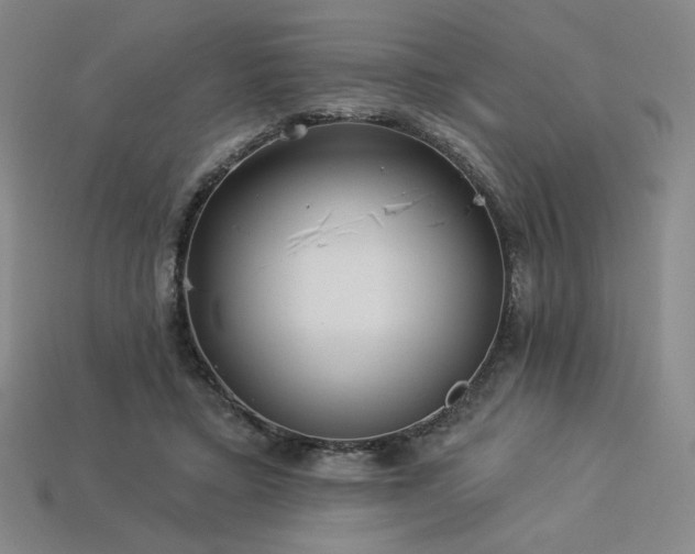 X0000113940403200909251245