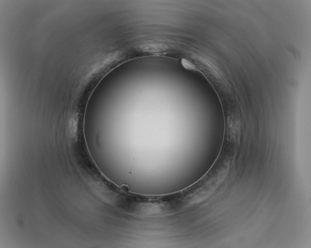 X0000113940404200909251245