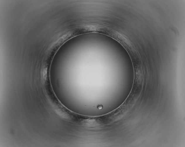 X0000113940406200909251244