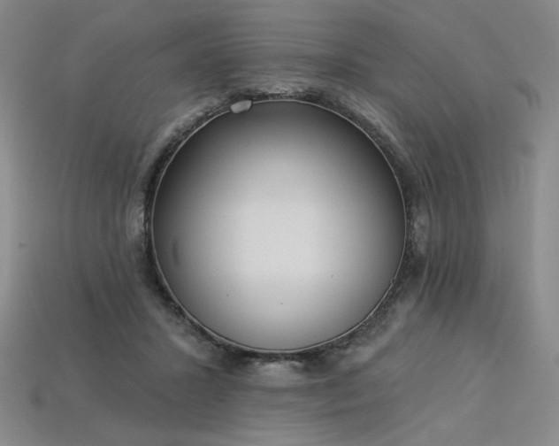 X0000113940407200909251244