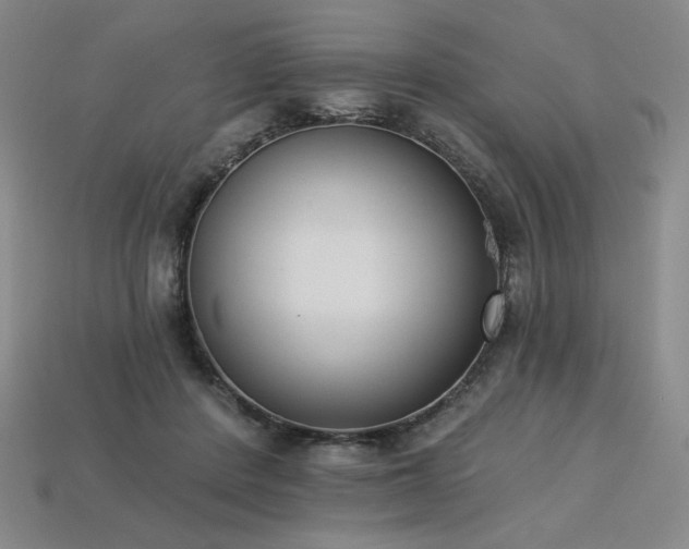 X0000113940408200909251244