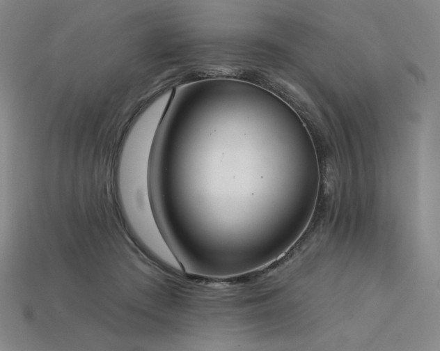 X0000113940409200909251244