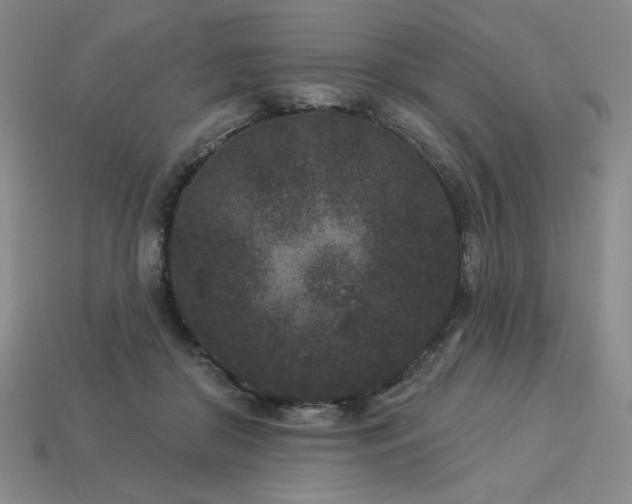 X0000113940410200909251244