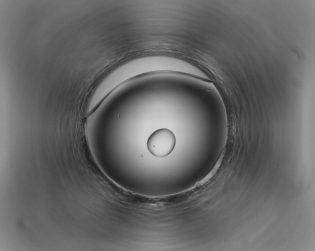 X0000113940411200909251244