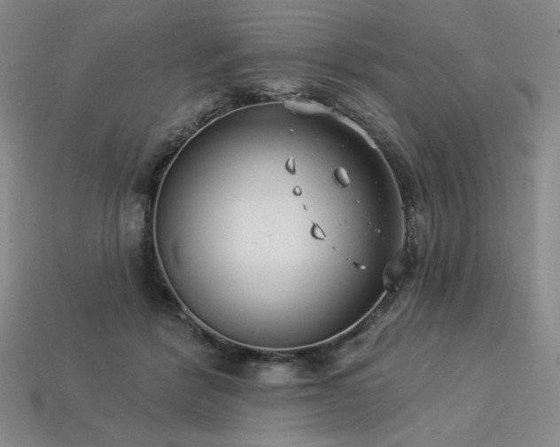 X0000113940412200909251244