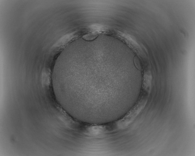 X0000113940413200909251244