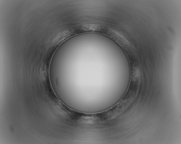 X0000113940414200909251244