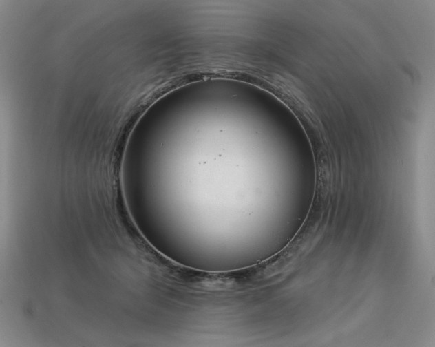 X0000113940415200909251244