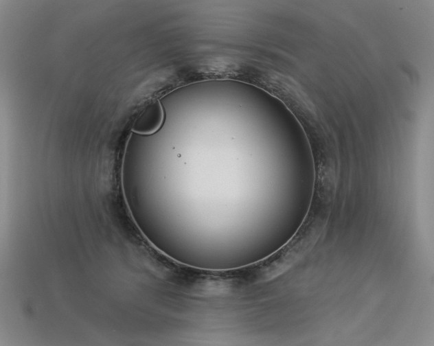 X0000113940416200909251244