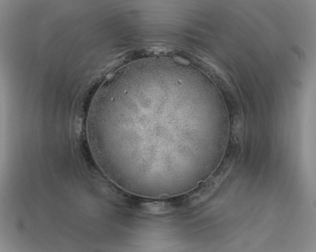 X0000113940417200909251244