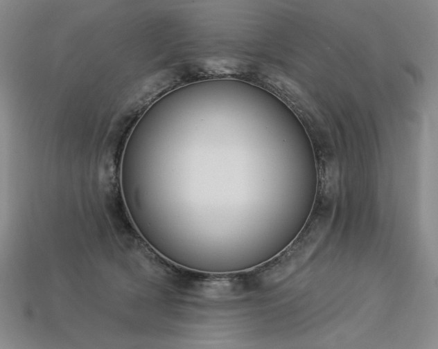 X0000113940418200909251244