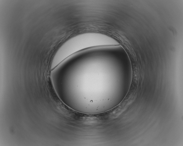 X0000113940419200909251244