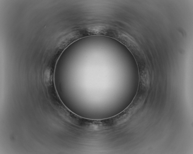 X0000113940420200909251244