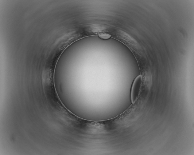 X0000113940421200909251244