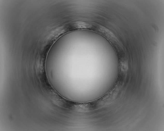 X0000113940422200909251244