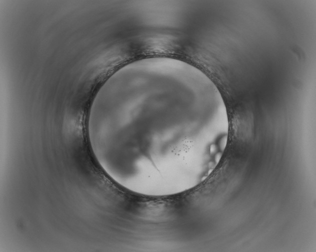 X0000113940423200909251244