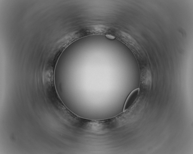 X0000113940425200909251244