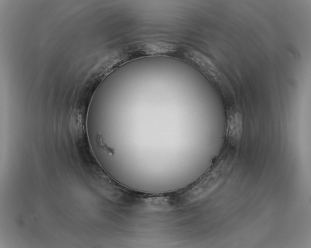 X0000113940426200909251244