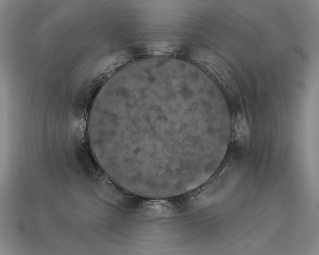 X0000113940427200909251244