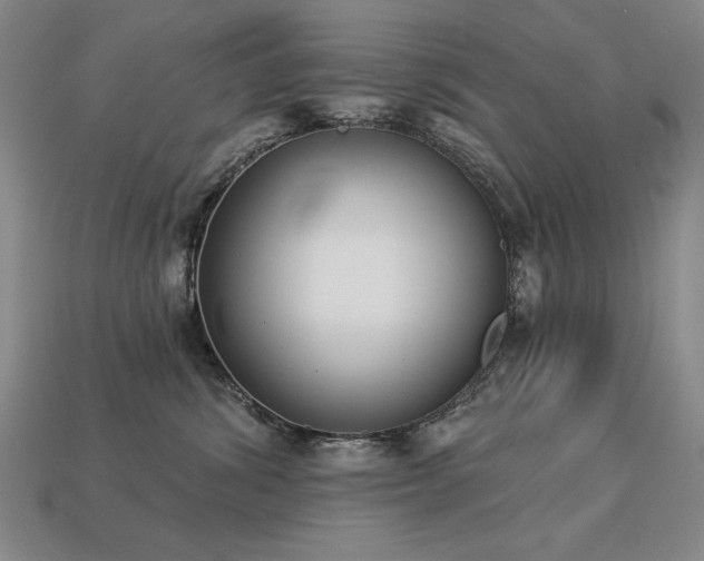 X0000113940428200909251244