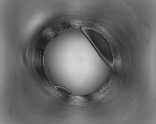 X0000113940429200909251244