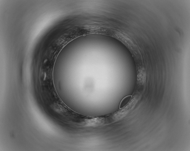 X0000113940430200909251244