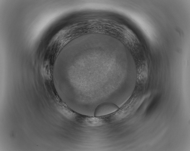 X0000113940431200909251244