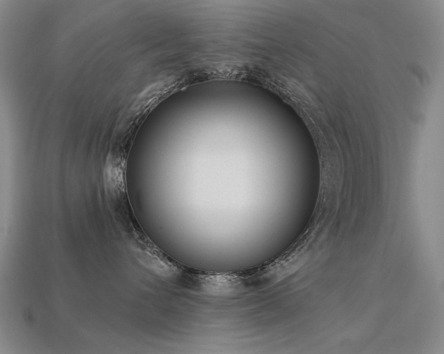 X0000113940432200909251244