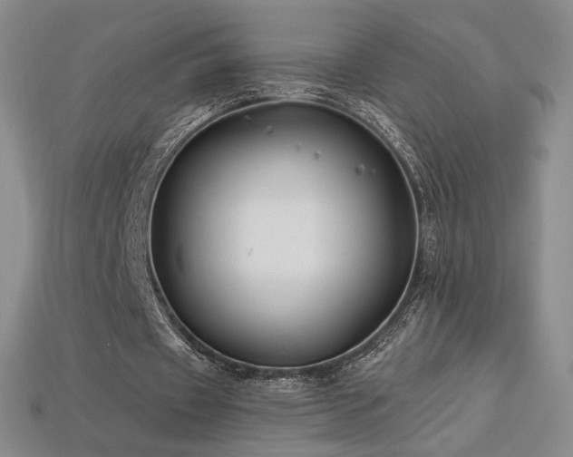 X0000113940433200909251243