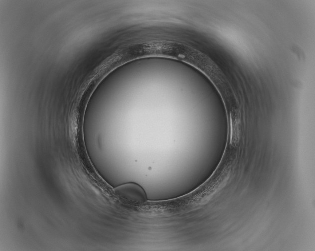 X0000113940435200909251243