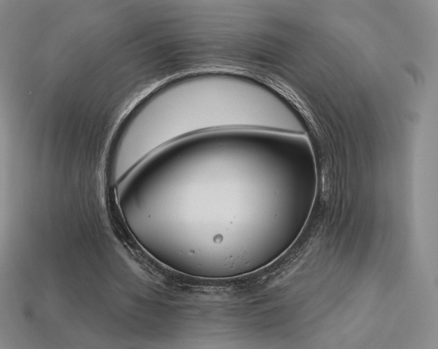 X0000113940436200909251243