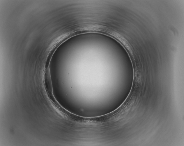 X0000113940437200909251243