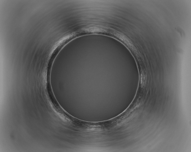 X0000113940438200909251243