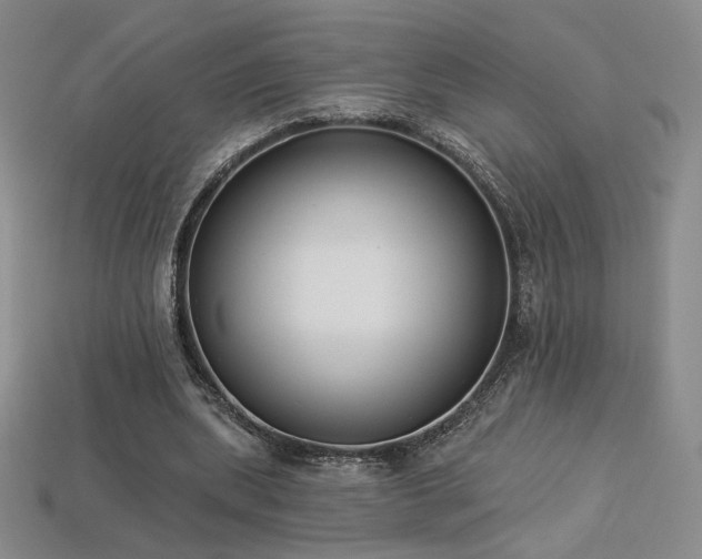 X0000113940439200909251243