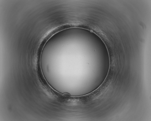 X0000113940440200909251243