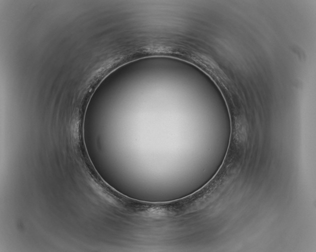 X0000113940441200909251243