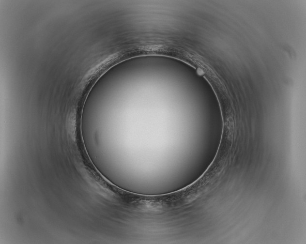 X0000113940442200909251243