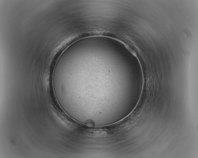 X0000113940443200909251243