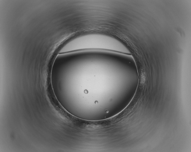 X0000113940444200909251244