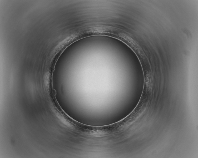 X0000113940445200909251244