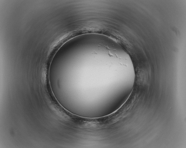 X0000113940446200909251244