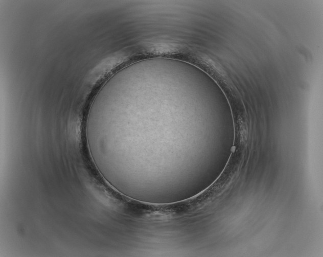 X0000113940447200909251244